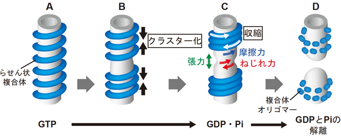 図５