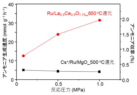 図３　開発触媒と従来型触媒に対する反応圧力の影響