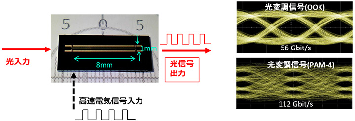 図２　本研究で作製した電気光学ポリマー光変調器の写真と光変調特性（上：ＯＯＫ、下：ＰＡＭ－４）