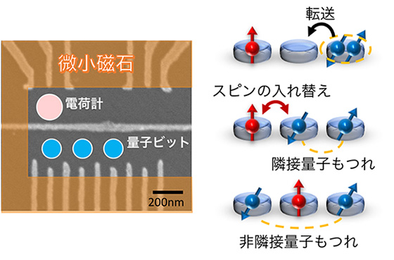 図１　３量子ビットを擁する半導体量子ドット試料（左）と量子もつれ生成メカニズム（右）