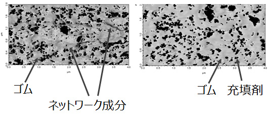 図４　原子間力顕微鏡位相像（左：制御でネットワークあり、右：制御せずネットワークなし）</h4> <!-