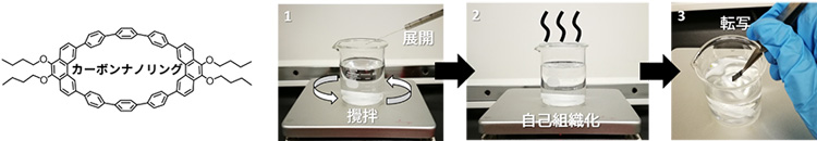 図2 本研究で用いたカーボンナノリングの化学構造と分子薄膜の作製方法