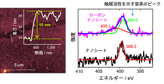 図５　窒素含有カーボンナノシートの原子間力顕微鏡像（左）とＸ線光電子分光スペクトル