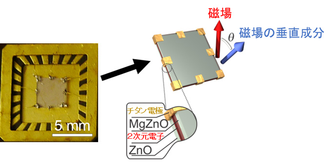 図１　酸化亜鉛試料の写真と構造の模式図