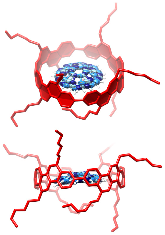 図４　結晶構造解析により明らかになった「ボウルと筒」の分子ベアリングの姿。斜め上から見た図（上）と横から見た図（下）姿