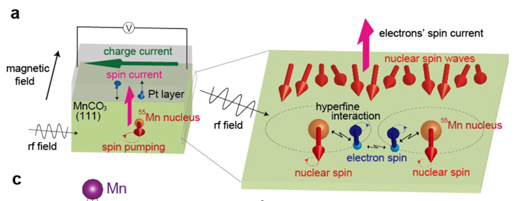 図１　実験のセットアップの模式図（左）と、核スピン波の概念図（右）