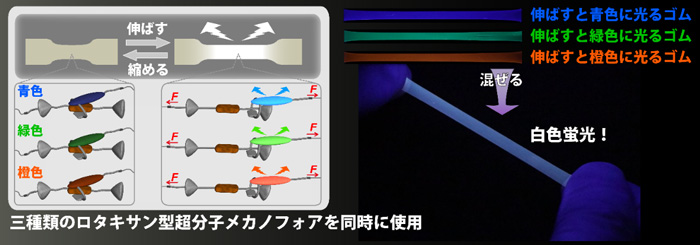 図２　白色蛍光をＯＮ／ＯＦＦスイッチする、今回開発したゴム材料の概念図