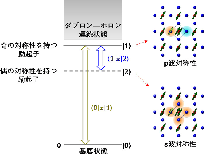 図２　銅酸化物モット絶縁体のエネルギー準位構造と励起子の波動関数の概念図