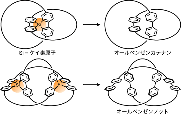 図３　オールベンゼンカテナン（上）およびノット（下）の合成戦略（概要）