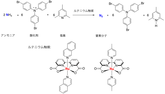 図２　ルテニウム触媒によるアンモニアの酸化反応