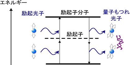 science and technology