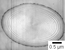 図4.多層構造を有する粒子の断面電子顕微鏡写真