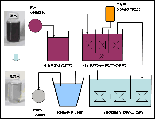 図３　排水処理システム
