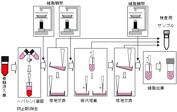 図３．自動培養工程（手作業での培養操作に準じる）