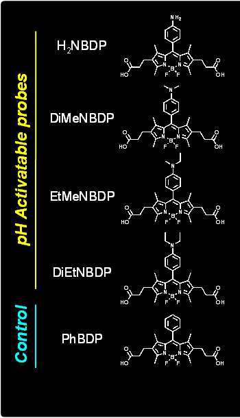 図３