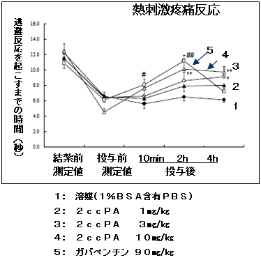 図３