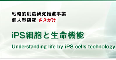 헪Ini l^
                uiPSזEƐ@\vUnderstanding life by iPS cells
                technology