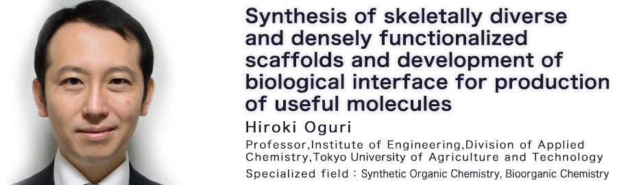 Hiroki Oguri Tokyo University of Agriculture and Technology，Institute of Engineering, Division of Applied Chemistry Professor Specialized field : Synthetic Organic Chemistry,Bioorganic Chemistry