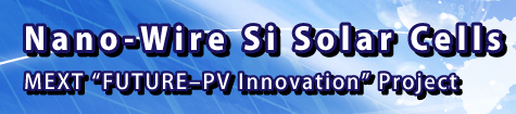 Nano-Wire Si Solar Cells Mext "Future -PV Innovation" Project