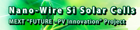 Nano-Wire Si Solar Cells Mext "Future -PV Innovation" Project
