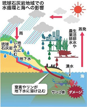 琉球石灰岩地域での水循環と海への影響