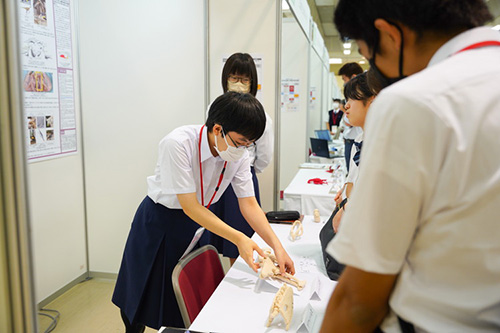 ポスター発表の様子