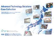 Advanced Technology Solutions: Case Collection