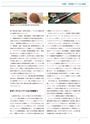JST20周年記念誌JapanWay0203