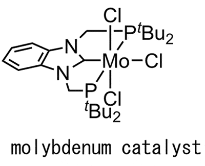 Fig. 2