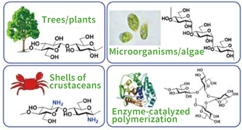 Fig.1