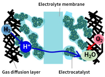 Fig. 2 