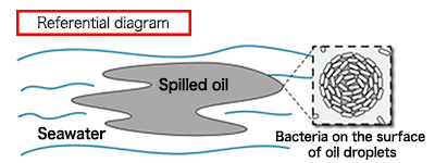 Fig.1