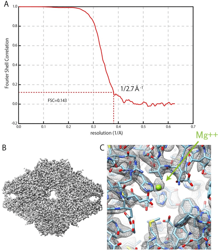 Fig. 3