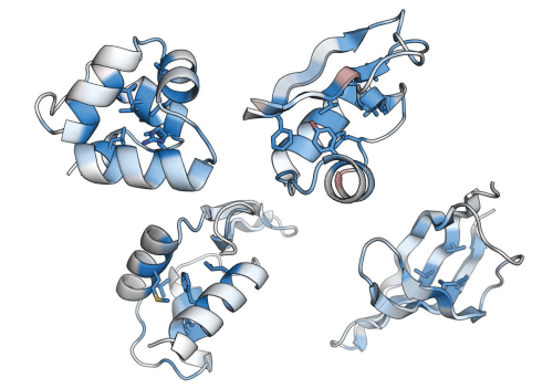 Fig.1