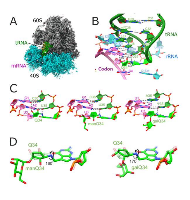Fig.3