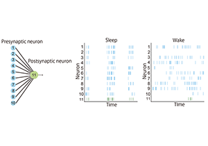 Theoretical prediction of conditions for “sleep learning”