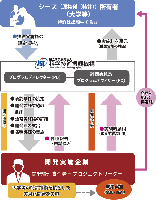 企業主体(マッチングファンド型)研究開発実施体制図