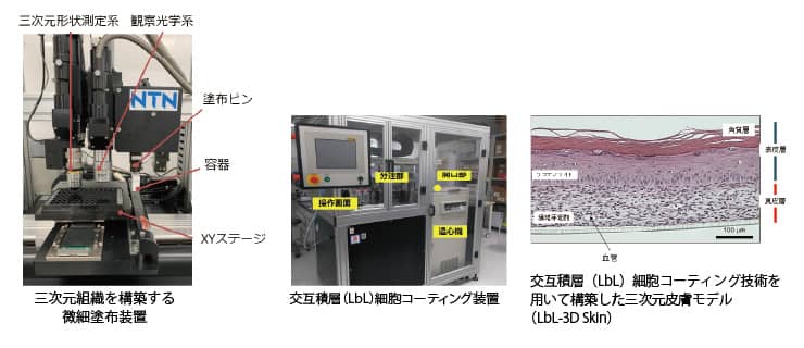 成果説明画像