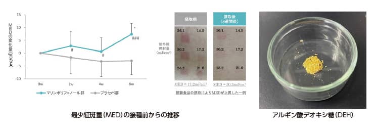 成果説明画像