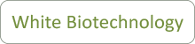 White Biotechnology