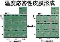 癒着防止材料
