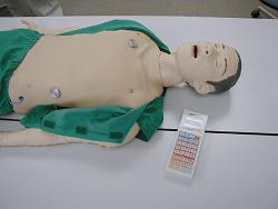 フィジカルアセスメント教育シミュレーター用の脈拍波発生装置の開発