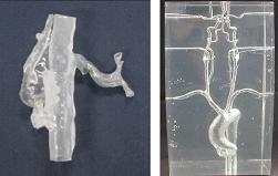 作製した腹部大動脈の膜性中空三次元実体血管モデル 大動脈弓から頭蓋内主幹動脈までの原寸大実体血管モデル