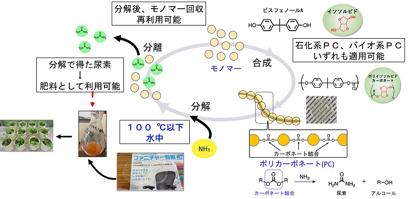 分解後、モノマー回収再利用可能-分解で得た尿素→肥料として利用可能-石化系PC、バイオ系PCいずれも適用可能