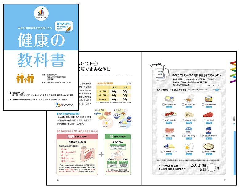 概要図