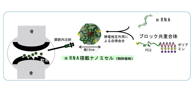 概要図