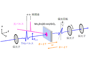 異常ホール効果の超高速変化を１０兆分の１秒の時間で観測することに成功～ミクロなメカニズムを解明する新手法を開拓～