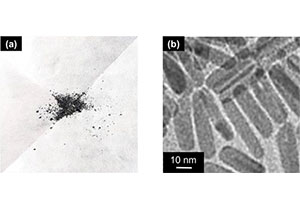 ついに実現“鉄”から高活性・高耐久性触媒を開発～稀少金属を用いない次世代型触媒反応プロセスの開発に期待～