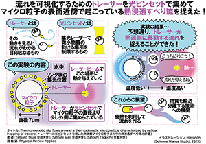 熱が誘起するすべり流れを検出～光ピンセットを援用した可視化手法により熱泳動のメカニズム解明へ～