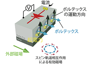 鉄系超伝導体を用いて強磁場下で超伝導ダイオード効果を観測～ボルテックスに由来する整流効果の仕組みを解明～